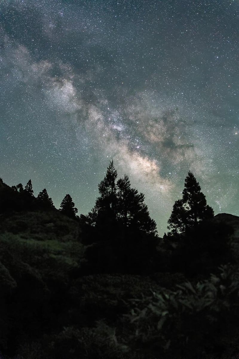 Star Gazing Lounge