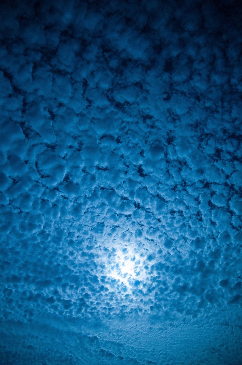 Moonlit Walk